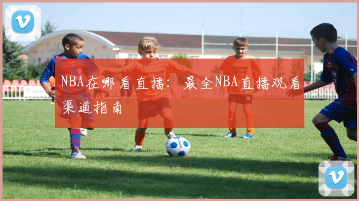NBA在哪看直播：最全NBA直播观看渠道指南