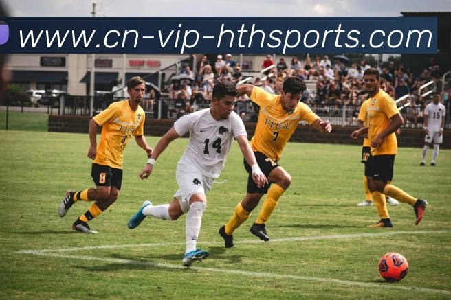 多媒体互动体验